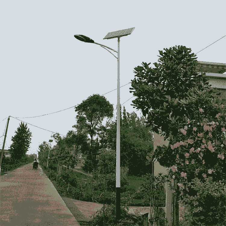 河北邯鄲6米太陽能路燈 廠家直銷 質(zhì)量保證