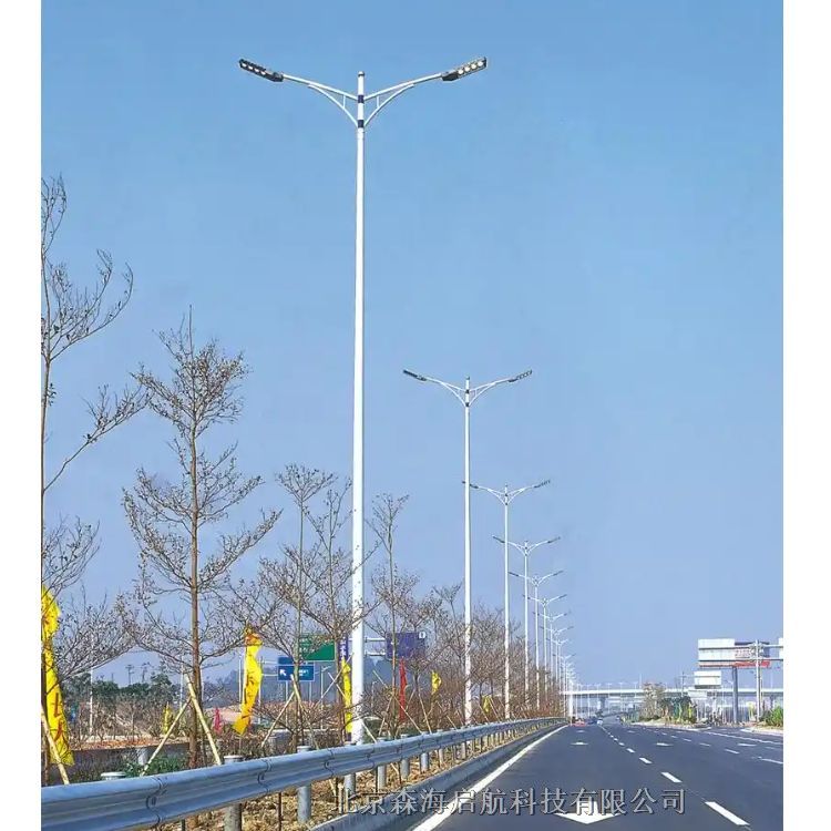 8米市政路燈工程 供應(yīng)路燈廠價(jià)格